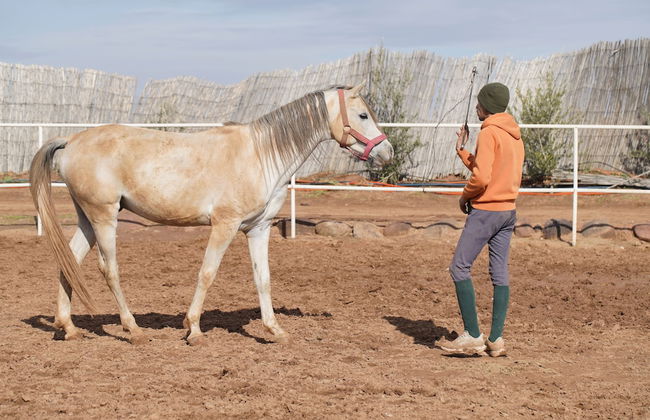 The Ranch resort - Foto 74