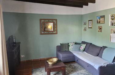 Experience Alpacas in Andalucia - Foto 7