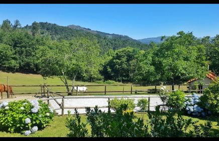 Quinta da Quinta - Foto 7