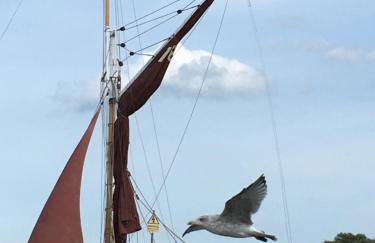 The Old Stable at Manor House, Middleton - Foto 42