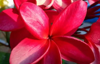 Casa INTI de Maracajaú - Foto 47