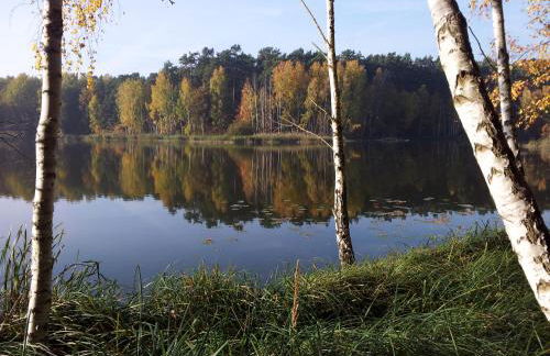 Residenz Zum Kronprinzen Bad Saarow - Foto 28