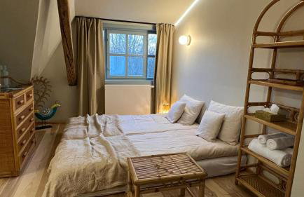 Turkusowa Wyspa - Foto 73