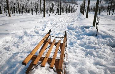 Tweet Apartments with Sauna and optional Breakfast Close To Terme Sveti Martin - Foto 10