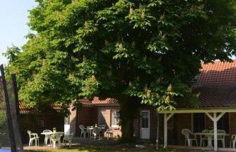 Seestern am Naturstrand - Foto 25