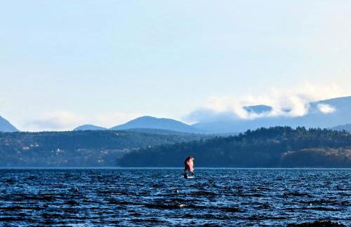 Spacious Waterfront Cottage with Private Beach and Deck, Near Acadia National Park in Hancock Point, Maine - Foto 16