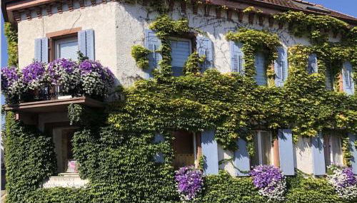 Holiday Apartment Monet in Oberrotweil - Foto 2