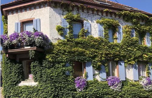 Holiday Apartment Monet in Oberrotweil - Foto 2