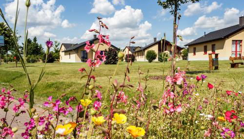 Seepark Auenhain - Foto 2, Garden view