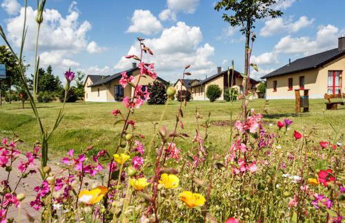 Seepark Auenhain - Foto 2