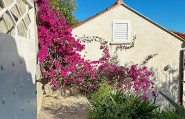 Kia apartman - Photo 14