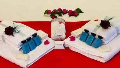 La petite Maison dans la Croix Rousse - Foto 2, towels