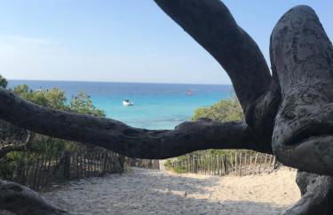 Nidu Accogliente in Balagna - Foto 47