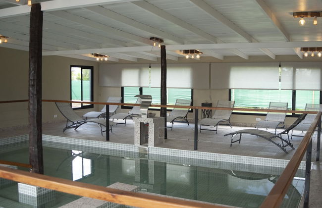 Olivos de Monte - Foto 47