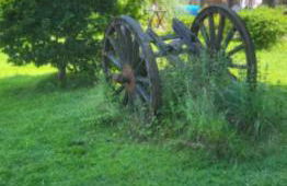 Gîte Pierre, Beynat, Corrèze - Foto 21