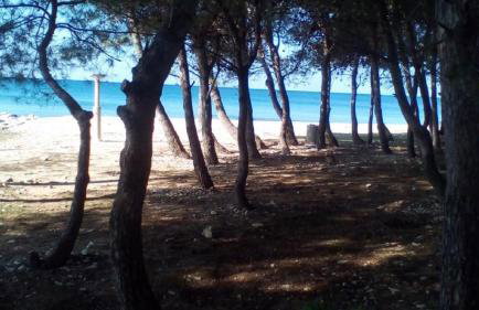 Marina & Luka - Foto 36