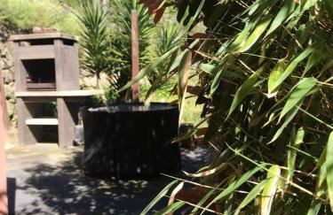 Family Secrets Douro - Foto 11