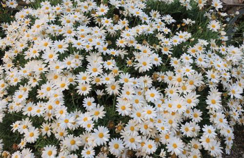 Masia Sagués - Foto 80