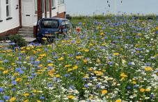 Cliff haven - Foto 6