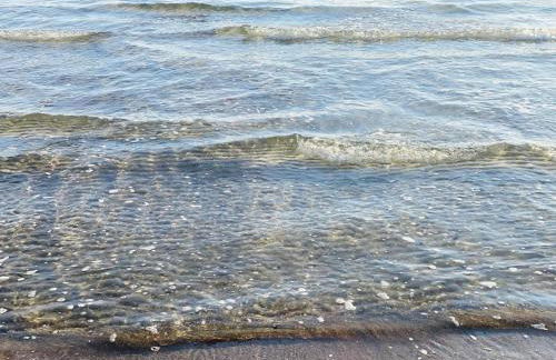 Haus Larum App. 3 - Foto 47