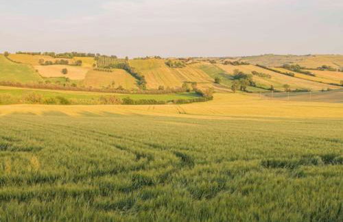 Inviting Holiday Home in San Costanzo With Swimming Pool - Foto 20