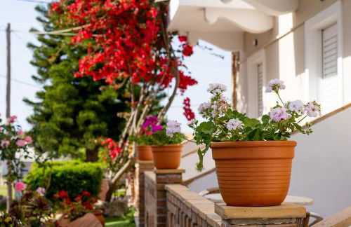 Asteri Studios - Photo 33