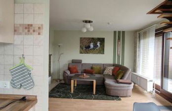 Grüne Düne Meerblick Friedrichskoog Spitze - Foto 11