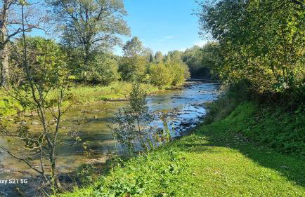 Pod Smerekiem - Photo 26