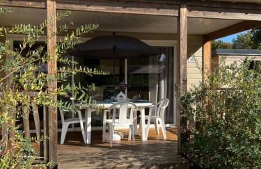 CHALET 10 chaleureux tout confort dans domaine avec Piscine au cœur des Landes bord de Lac avec plage aménagée - Foto 6