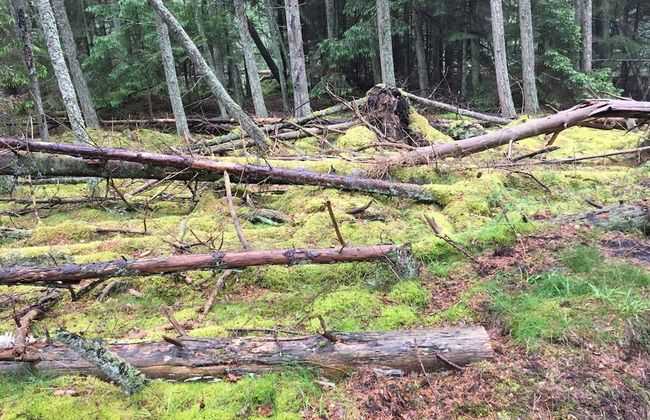 5 Person Holiday Home in Frederiksvaerk - Photo 16