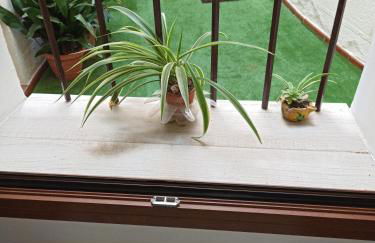 El Muro de Piedra - Foto 18