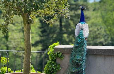 Villa La Commenda Concordia - Foto 21