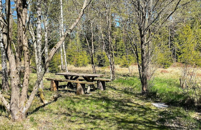 4 Star Holiday Home in Hacksvik - Foto 36