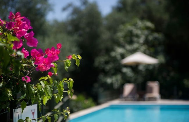 Lovely Open Plan Family Villa in Kato Katelios - Foto 15