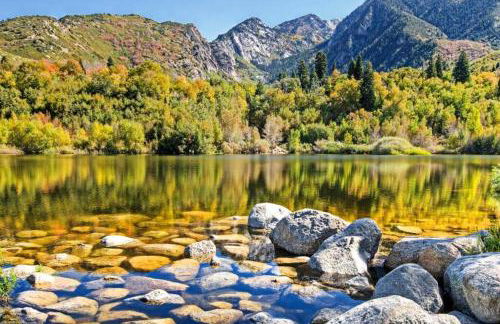 Lady Madonna Sage Flat - Foto 30