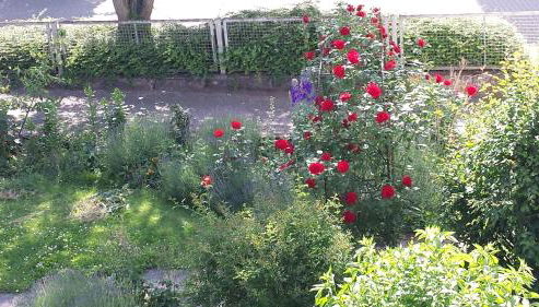 Ferienwohnung am Kloster - Foto 2