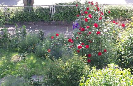 Ferienwohnung am Kloster - Foto 2