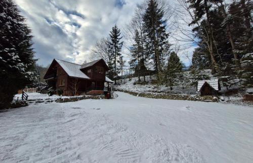 Rodzinny Dom Wypoczynkowy - Foto 7