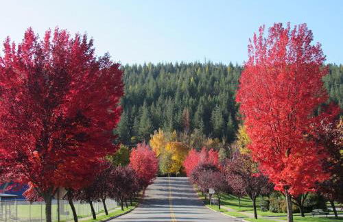 Large Studio Condo with Full Kitchen, Ski, Bike, Beautiful Balcony Views Hottub Fireplace - Foto 19