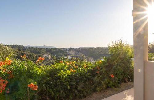 Nikargy Avra - Foto 27