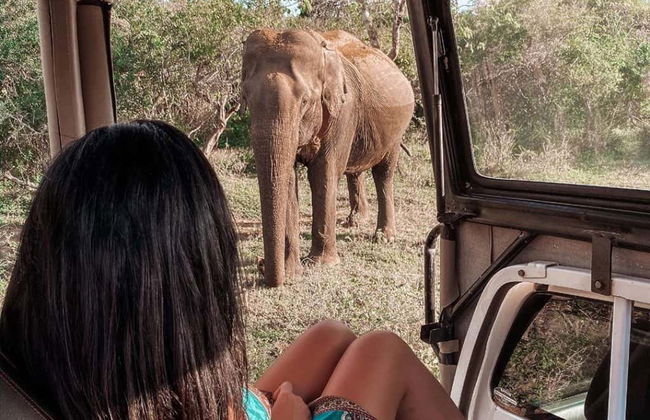 Safari privato nel Parco Nazionale di Wilpattu - Foto 1