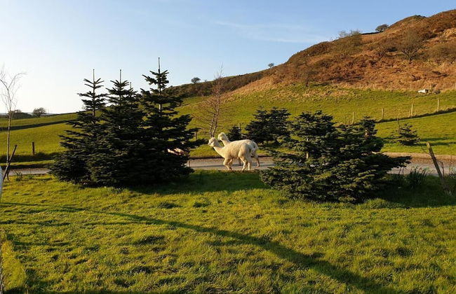 Newland Valley Log Cabins - Foto 37