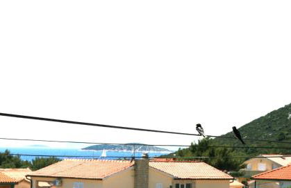 Sunshine Apartment Sovlje - Foto 57