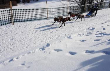 FeWo mit Pool Haus Enere Au - Foto 21