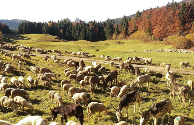 Casa Camilla Holiday - Photo 34