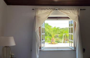 Horta do Monte - Foto 22