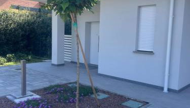 White Villa - Photo 2