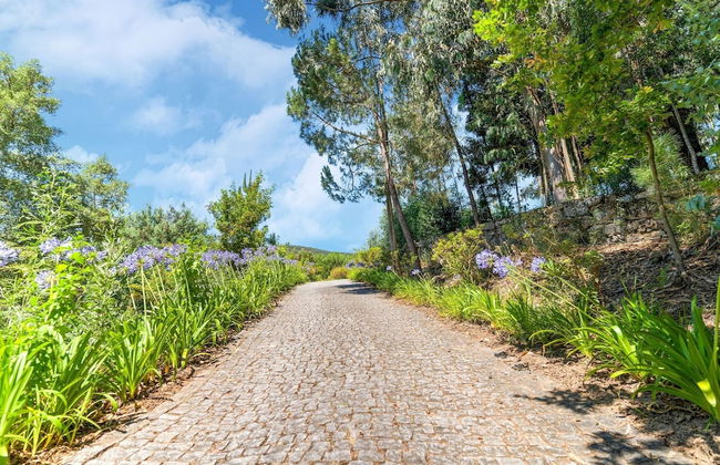 Forest Hideaway Near Douro Valley - Foto 21