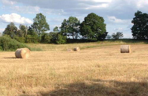 Auszeithaus Brigittenhof - Photo 24