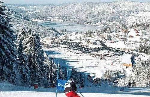 Charmant logis Gérardmer - Photo 46